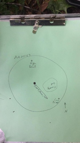 GRSM Accuracy Assessment. Plot Code: GRSM_AA_0153_map