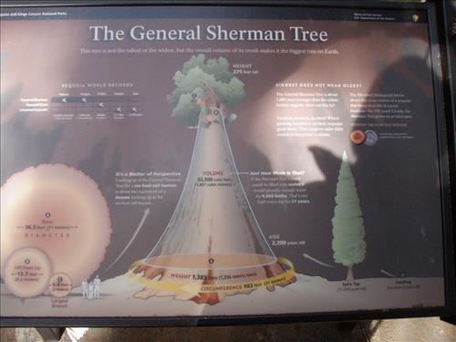 Giant Forest--Sherman Tree Area--waysides--Sequoia and Kings Canyon National Parks--11/2009