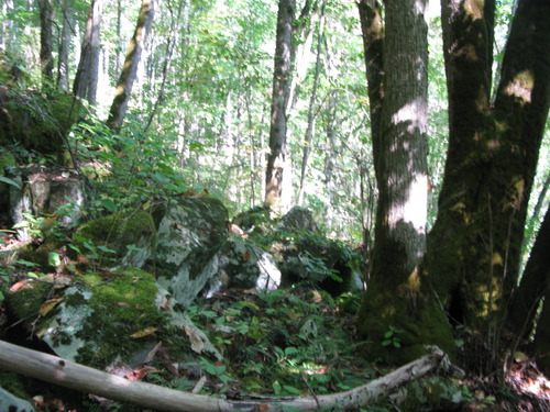 GRSM Accuracy Assessment. Plot Code: GRSM_AA_0137_2