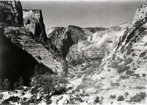 Horseback party on the East Rim Trail in 1929.