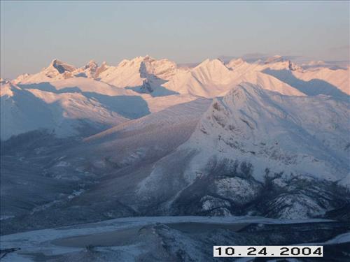 7 Gates of the Arctic National Park and Preserve Koyukuk Moose Survey 2004