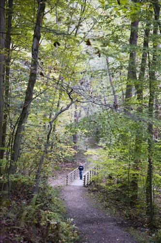 Fall hiker on Boston Run Trail