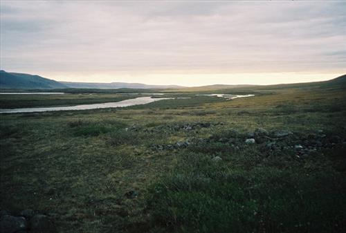 4 Gates of the Arctic National Park and Preserve Itkillik Bird Survey June 2006
