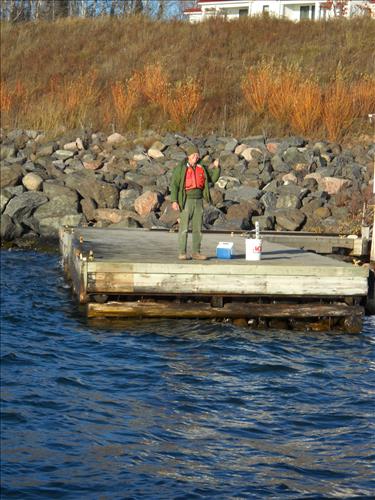 APIS, Raspberry Island Docks