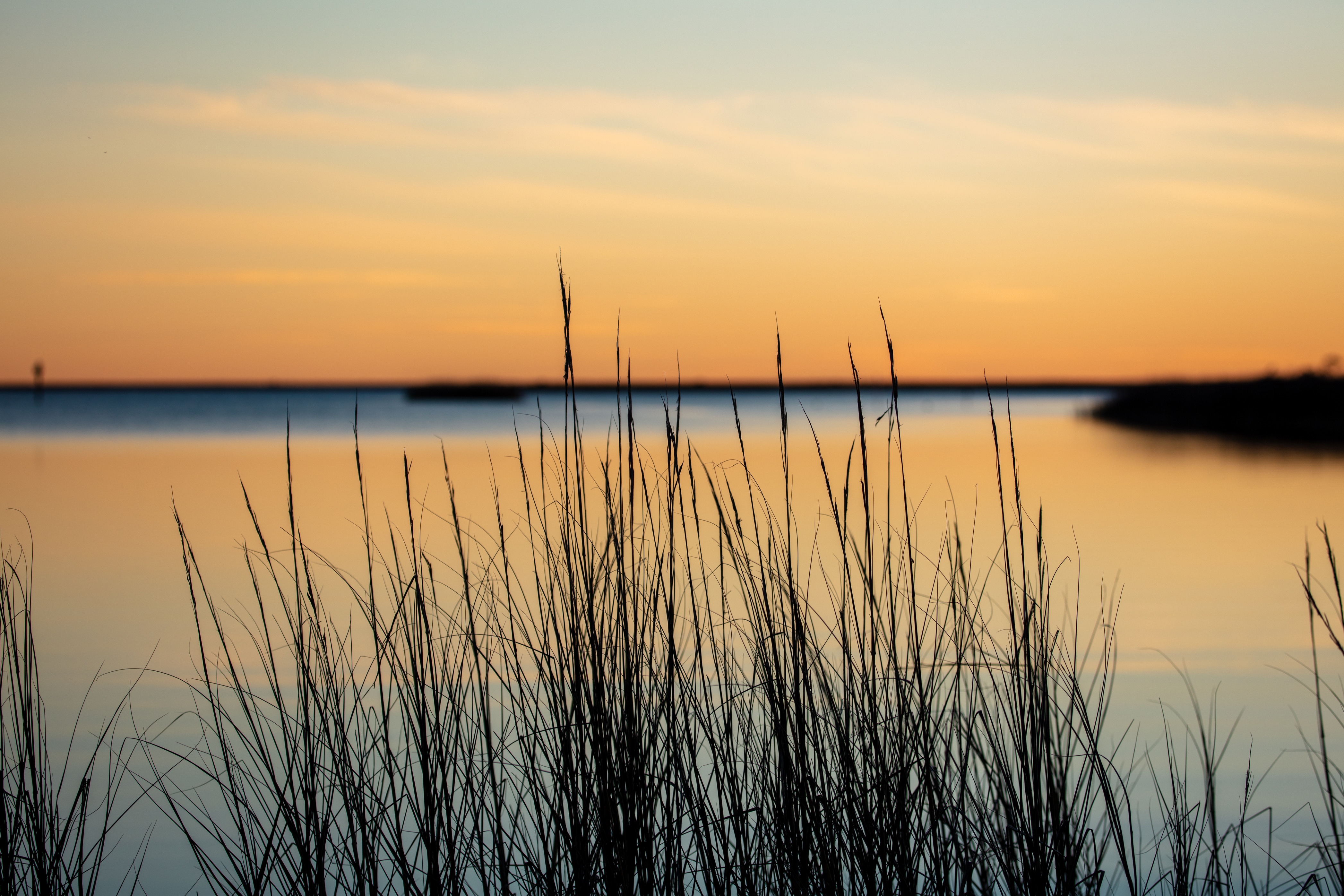 The sun sets over a bayou with grasses in the foreground.