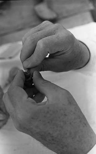 Bill Miller carving a peach pit creature at the first annual Folklife Festival, Zion National Park Nature Center, September 1977.