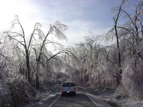 Wilson's Creek National Battlefield Ice Storm, January 2007, Before and During Clean Up