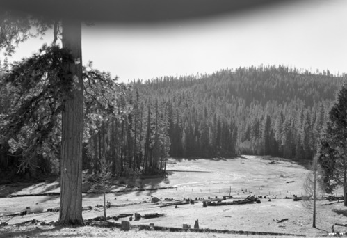 View across meadow of Cuneo property looking SW.