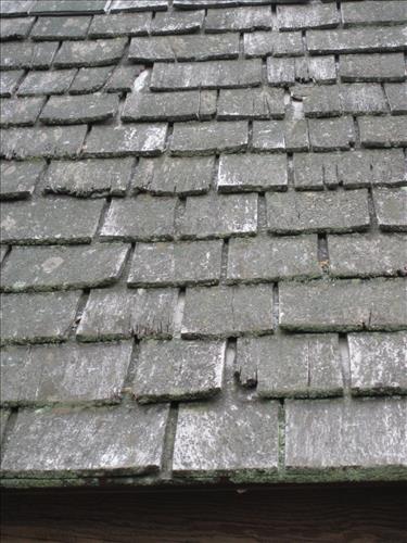 FRDO-Rehabilitation of the historic Growlery Roof, Door, and Floor at the Frederick Douglass National Historic Site in January 2009