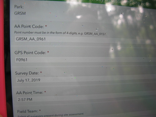 GRSM Accuracy Assessment. Plot Code: GRSM_AA_0961_1