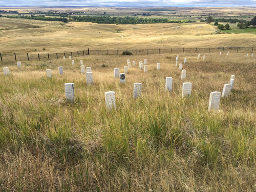 Rolling field with stone markers