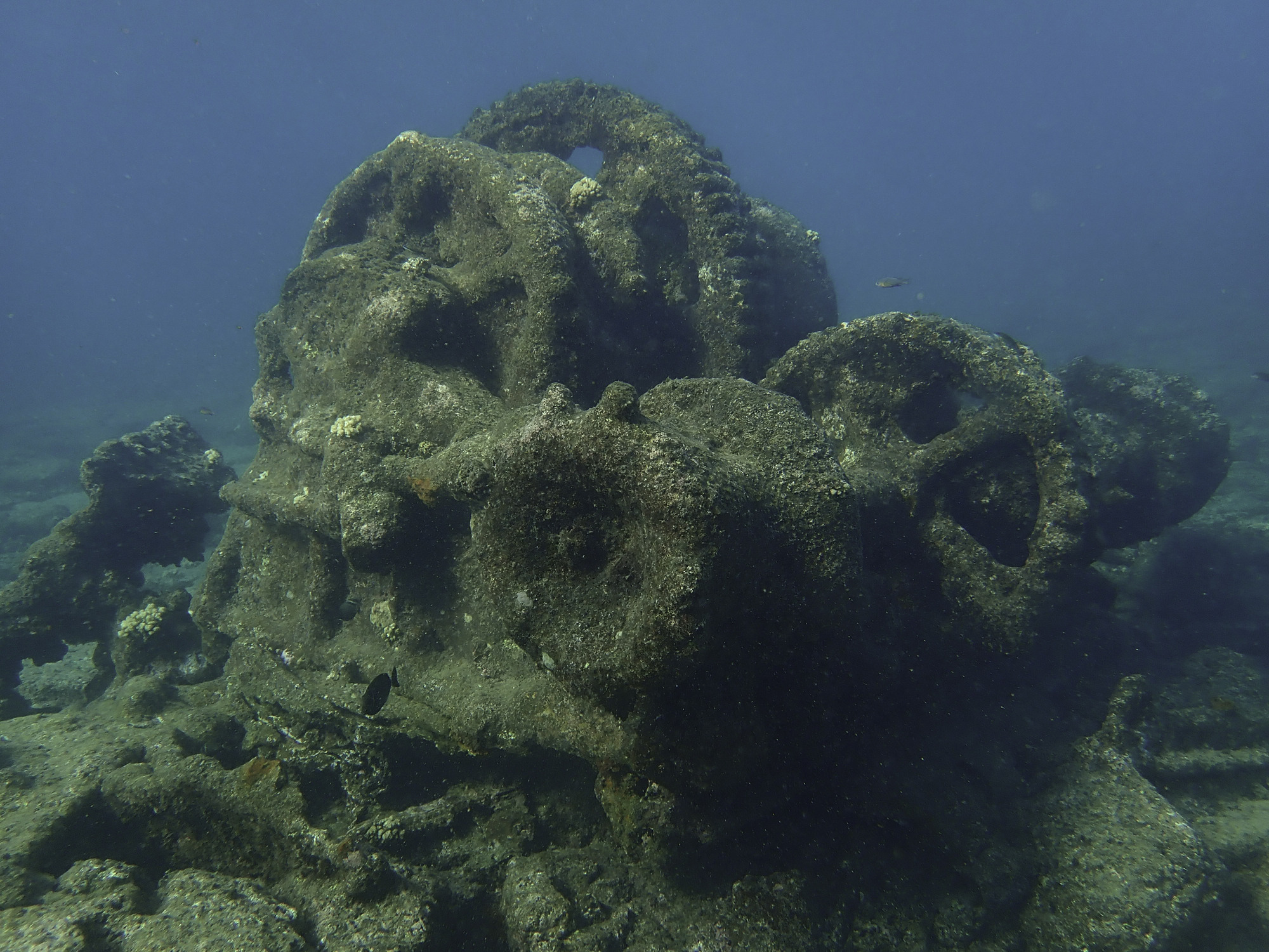 A metal structure underwater surrounded by fish. 