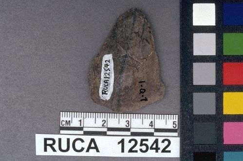 RUCA   12542 -- Point, Projectile