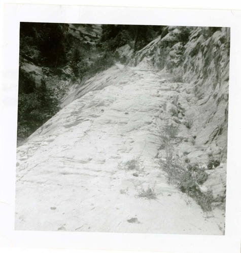 General view of the East Rim trail.