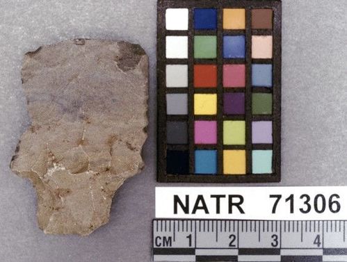 NATR   71306 -- Ledbetter Cluster projectile point