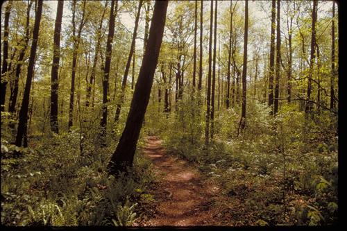 Structures and Views at Hopewell Furnace National Historic Site, Pennsylvania