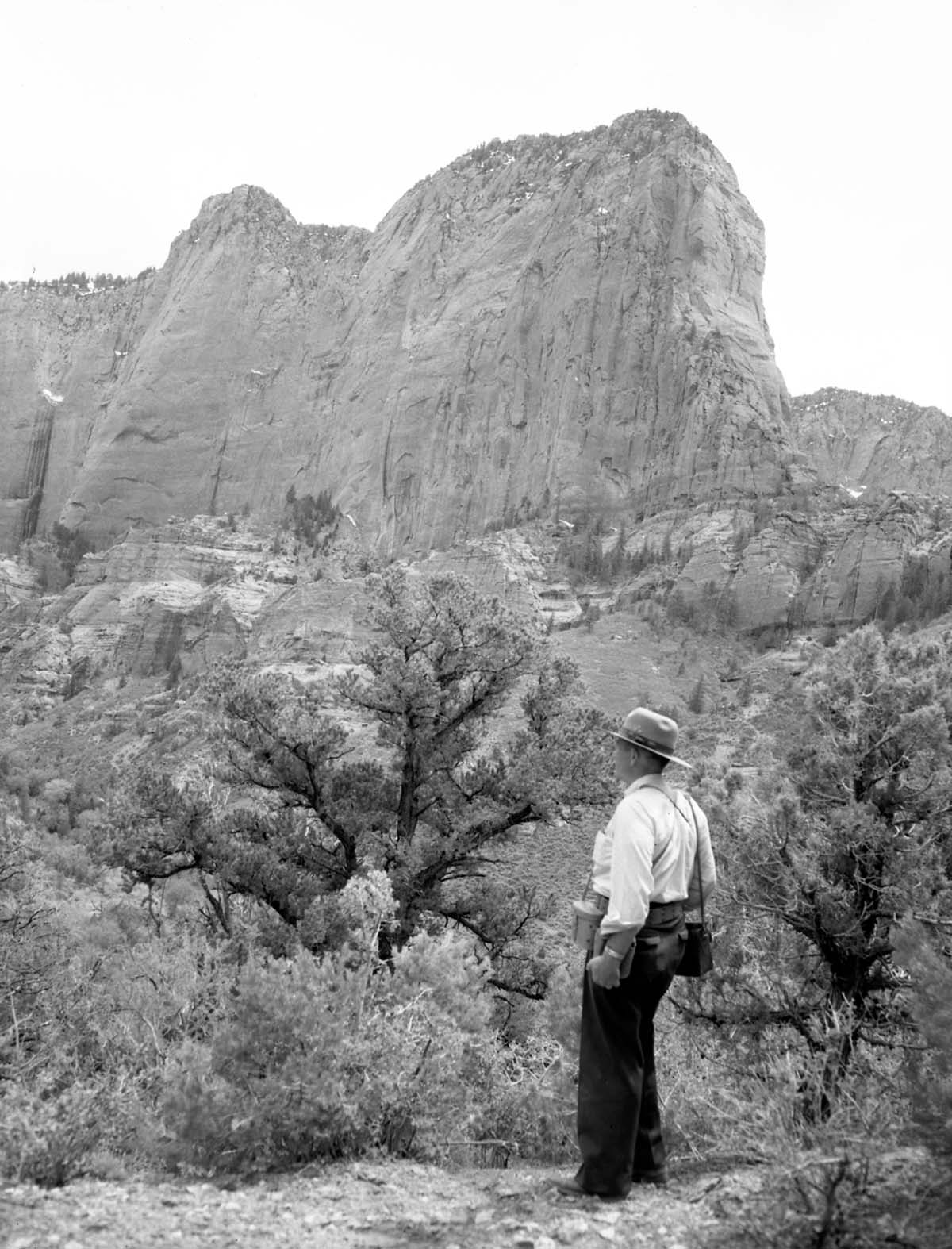 Beatty point in Kolob section. From near three forks of Taylor Creek