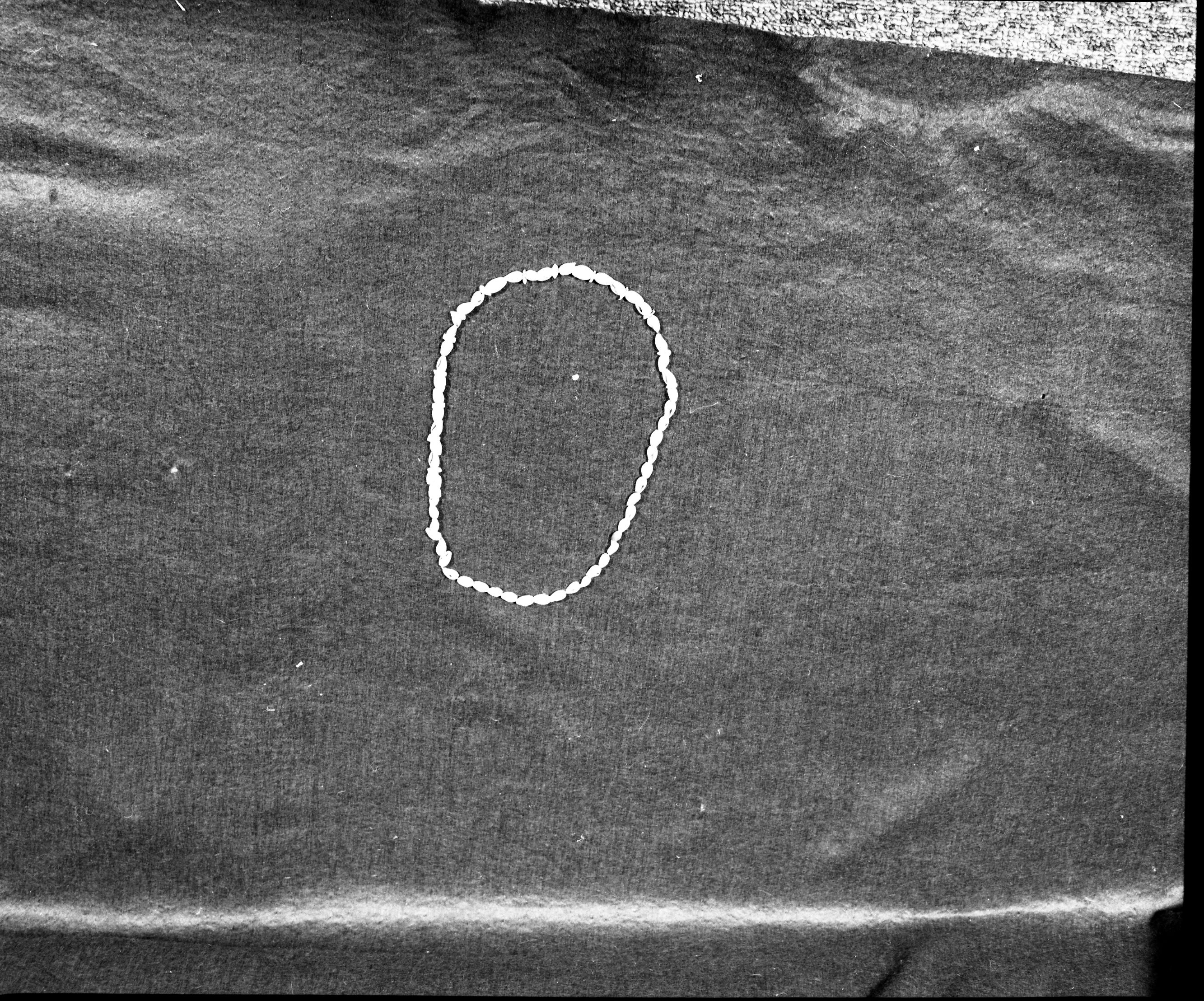 Marie Rozier Collection, Catalog No. 214. Object: Late Horizon shell beads. Dimensions: 24" strand. Materials: whole olivella shells and rectangular olivella shell beads. Collection History:Collected in Root Orchard, Diablo Road, Danville, CA, an exceedingly rich Late Horizon site. Gift of Craig Bates. Photographed by Michael Dixon, December 1982. Catalogued by Craig Bates and Barbara Beroza. Yosemite Collections, National Park Service.