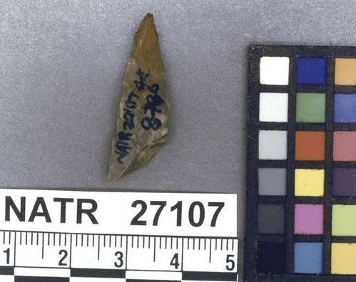 NATR   27107 -- Untyped projectile point
