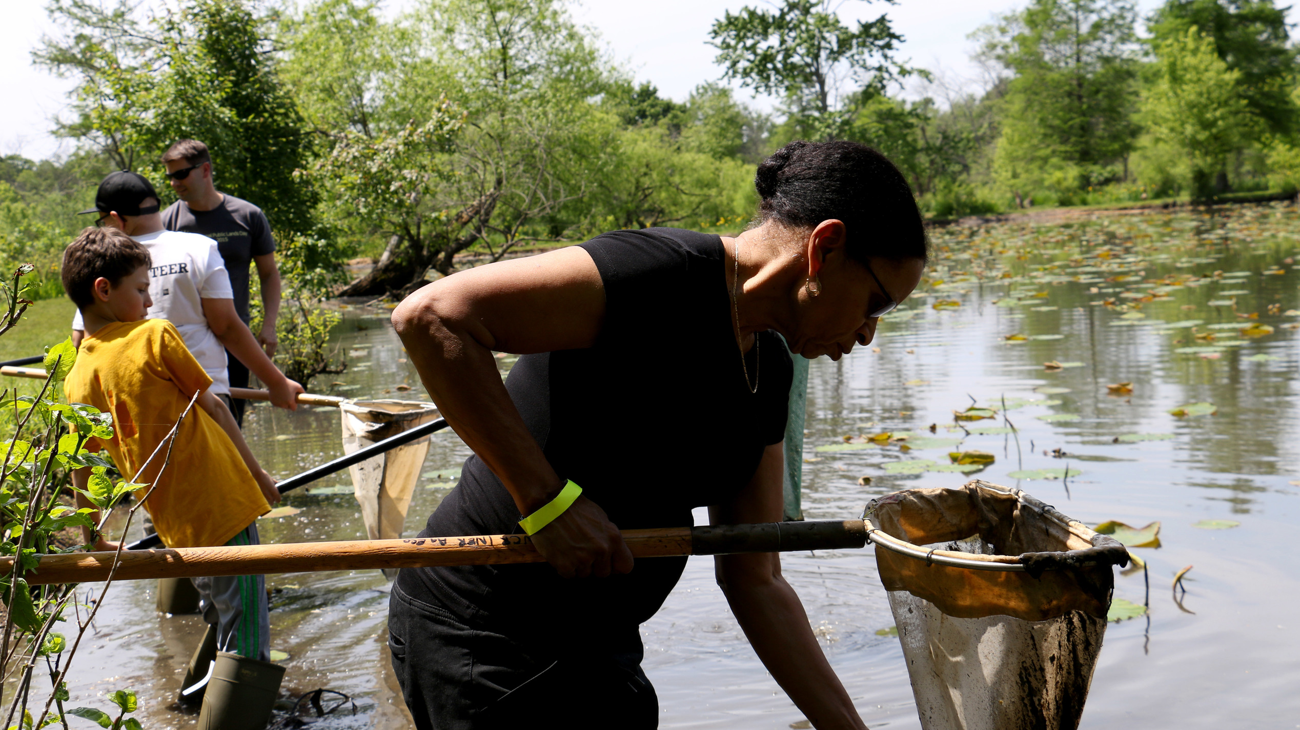 Macro-invertebrate inventory at Kenilworth Park and Aquatic Gardens