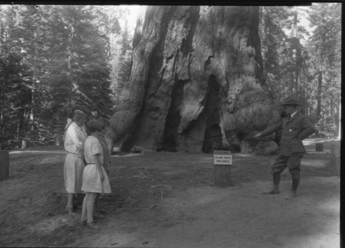 Mrs. Demarary, Miss Demarary & Assist. Director Demaray pointing to posts surrounding the Grizzly Giant.