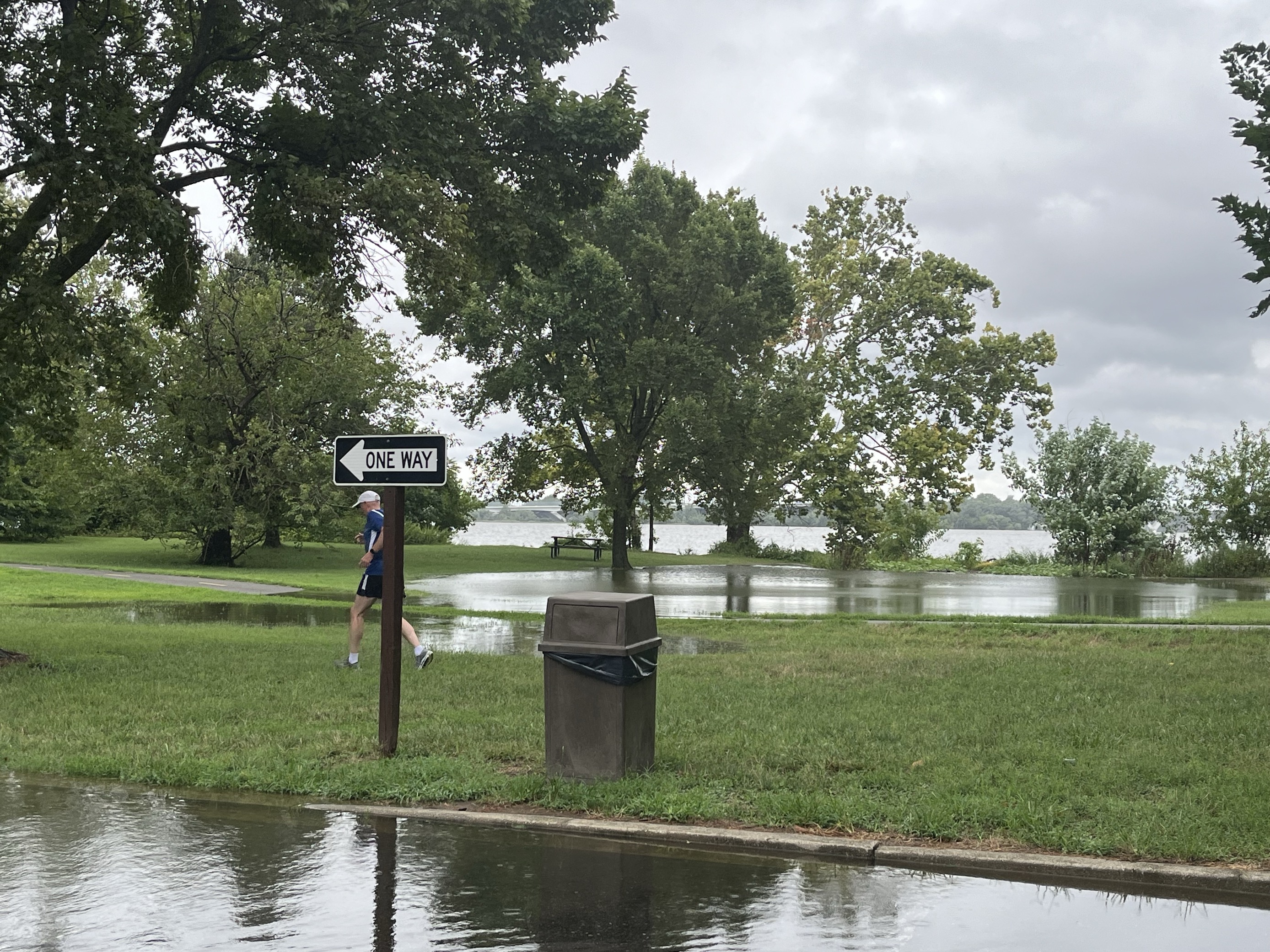 Ground covered in high water
