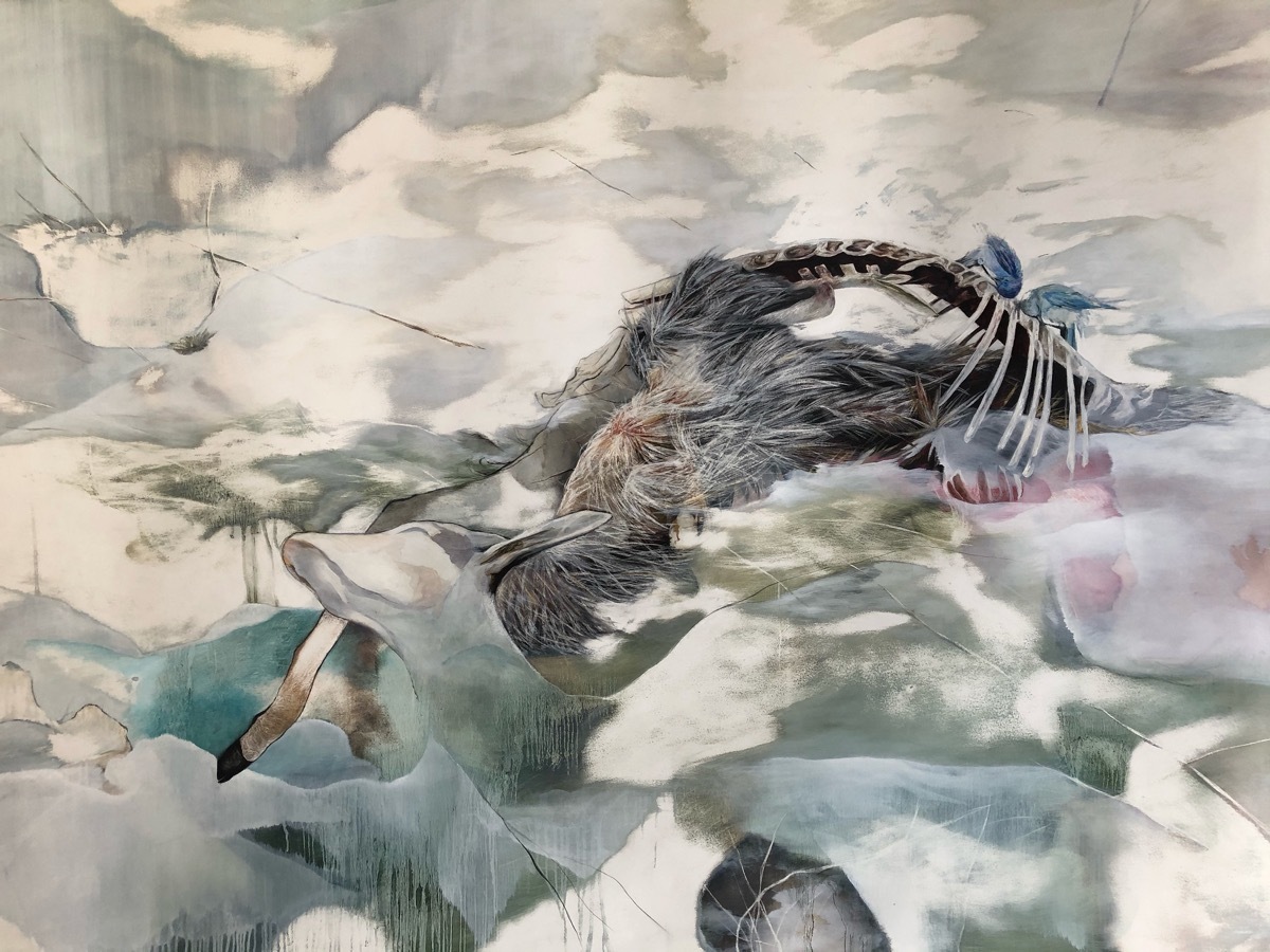 An artists rendering of a deer carcass decomposing.