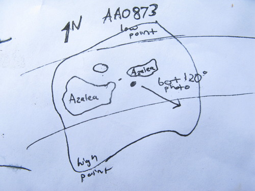 GRSM Accuracy Assessment. Plot Code: GRSM_AA_0873_7