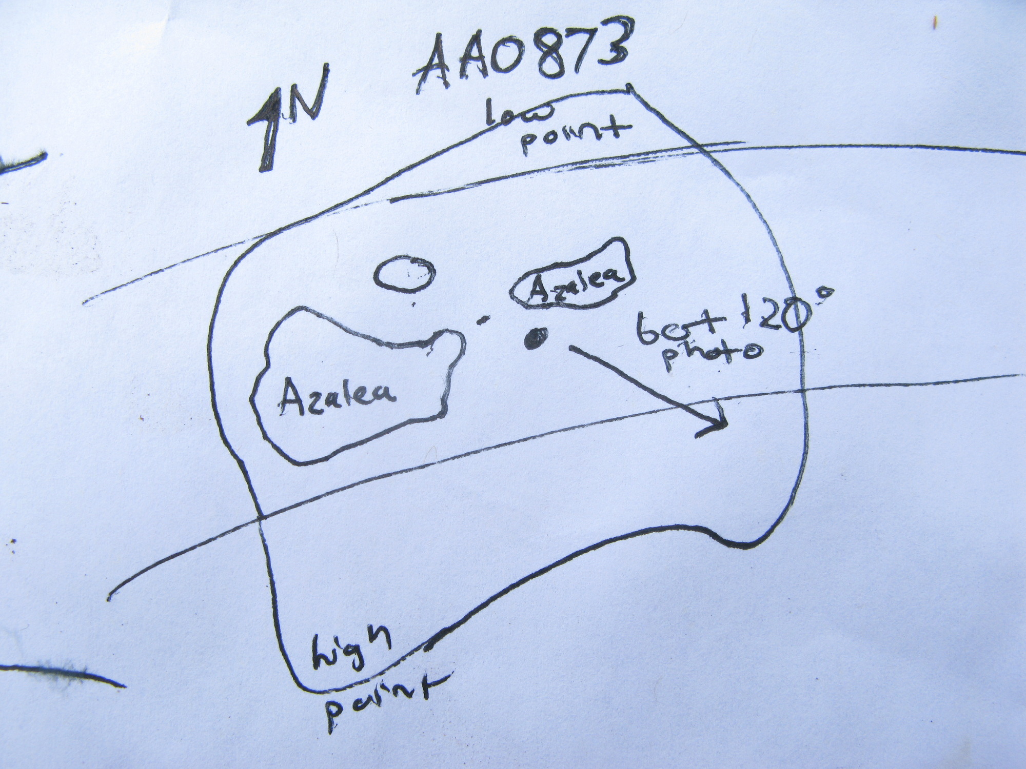 GRSM Accuracy Assessment. Plot Code: GRSM_AA_0873_7