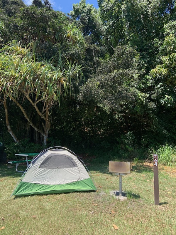 A green and grey tent is set beneath a hala tree at the Kipahulu Campground.