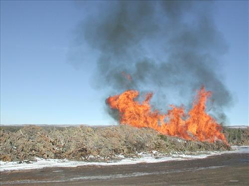 Brush pile burn as part of fuel reduction, Mesa Verde National Park, Jan. 2002
