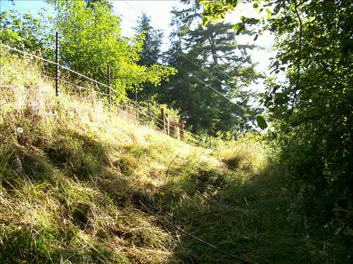 Orick Hill Fence Repair 2010