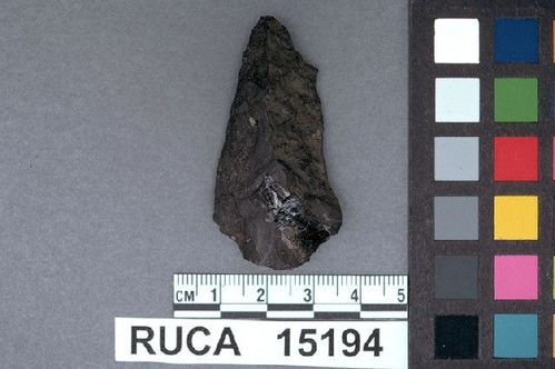 RUCA   15194 -- Point, Projectile