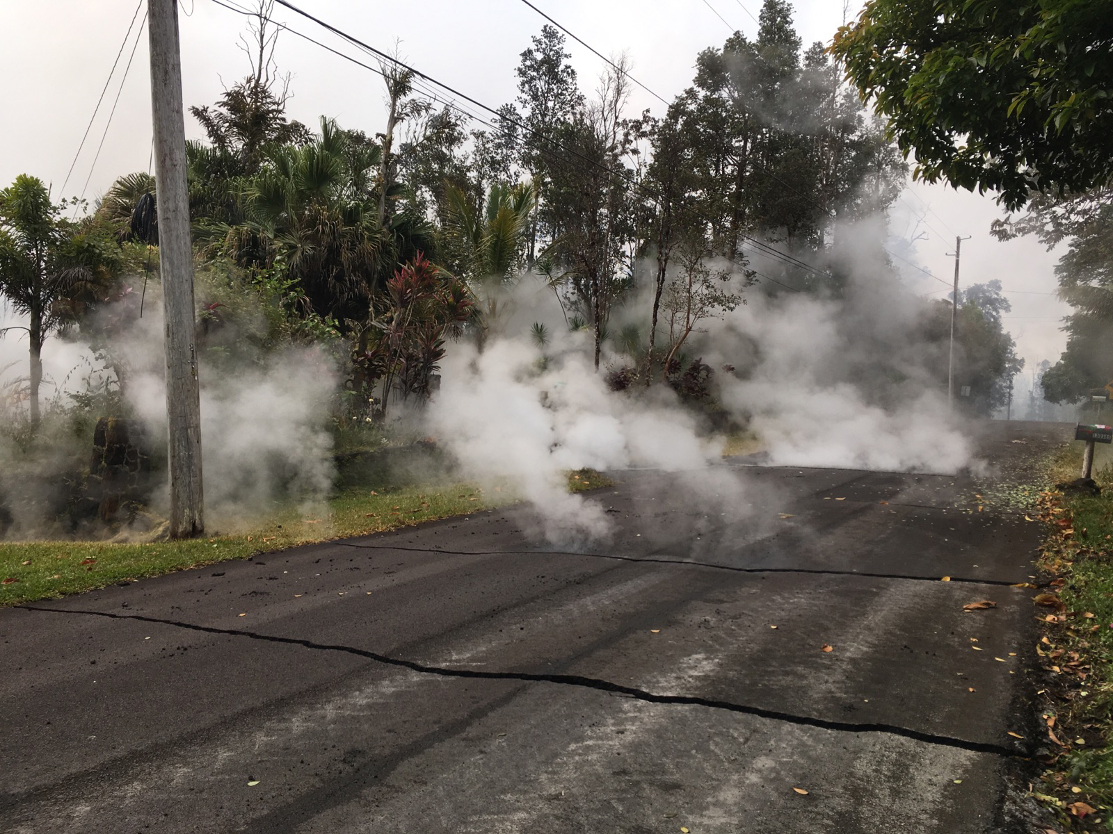 Steaming cracks in a paved street
