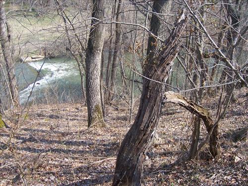 Clear vegetation from battlelines, viewsheds and eathworks Antietam NB Sharpsburg MD