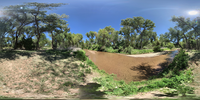 360 panoramic photo of river, cottonwood trees