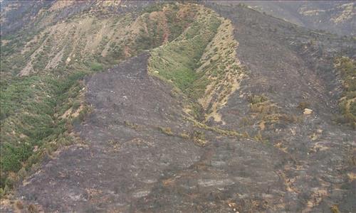 Aerial views of burn areas from the Bircher Fire, Mesa Verde National Park, July 2000