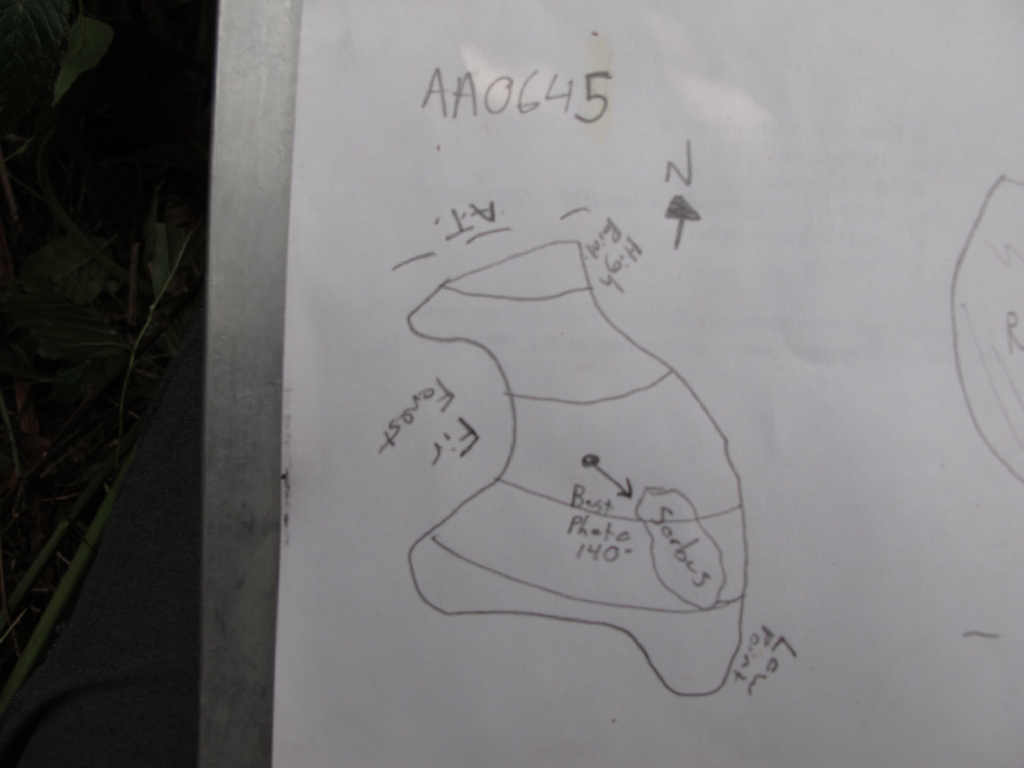 Plot Code: GRSM_AA_0645_7