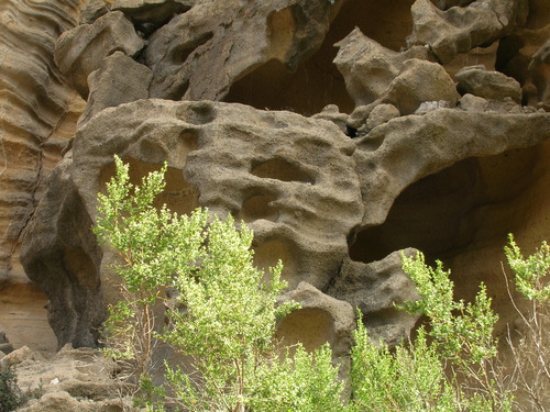 SRI,Beechers Bay Fm 4