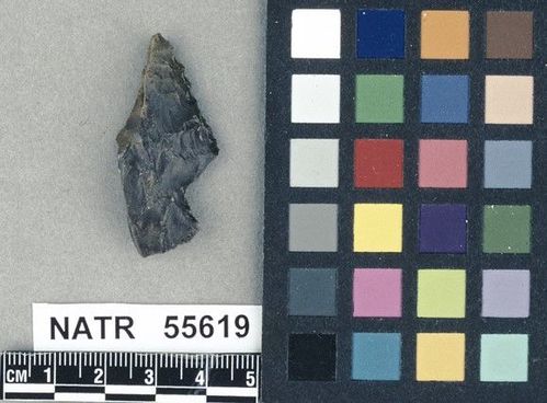 NATR   55619 -- Untyped projectile point