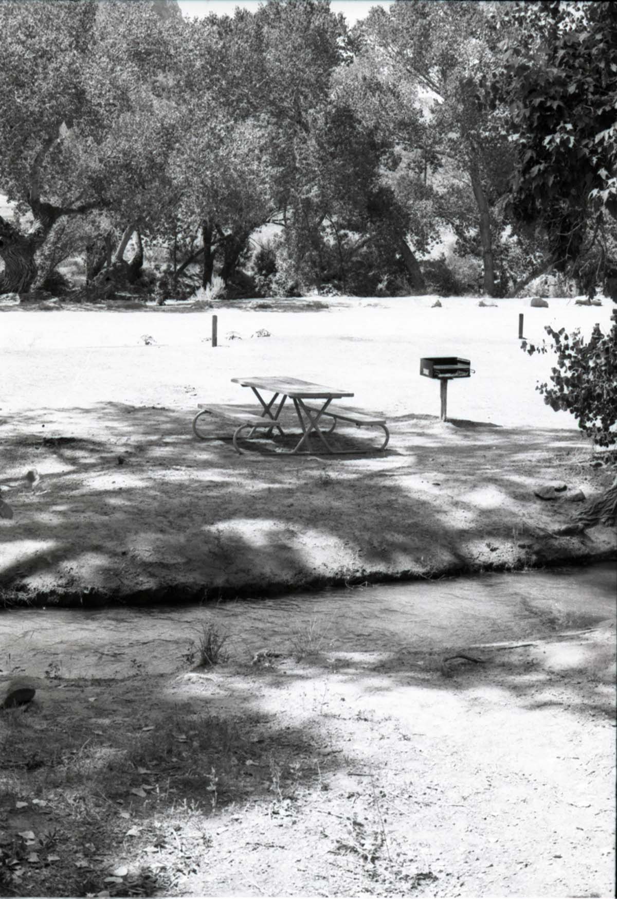 Campsite with picnic table and grill in the South Campground.