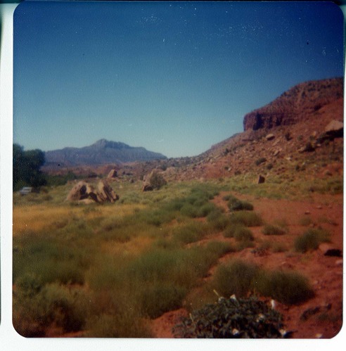 The Springdale water pipeline during construction.