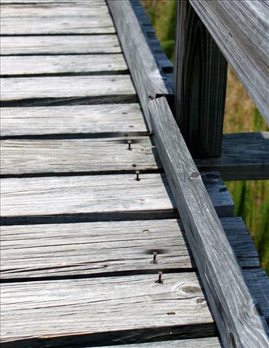 Deferred Maintenance at Dungess and Seacamp Boardwalks in June 2010