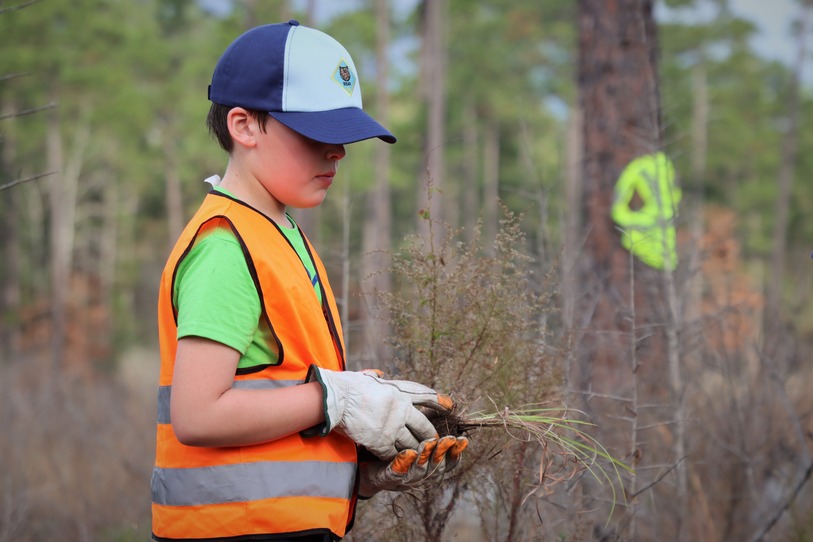 A young volunteer holding a grass seedling