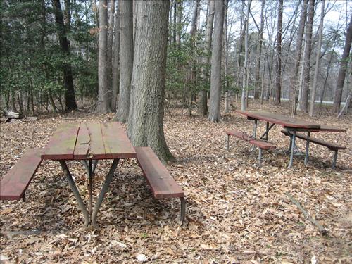GREE -- Replace Worn and Broken Picnic Tables in the Holly Picnic Area at Greenbelt Park