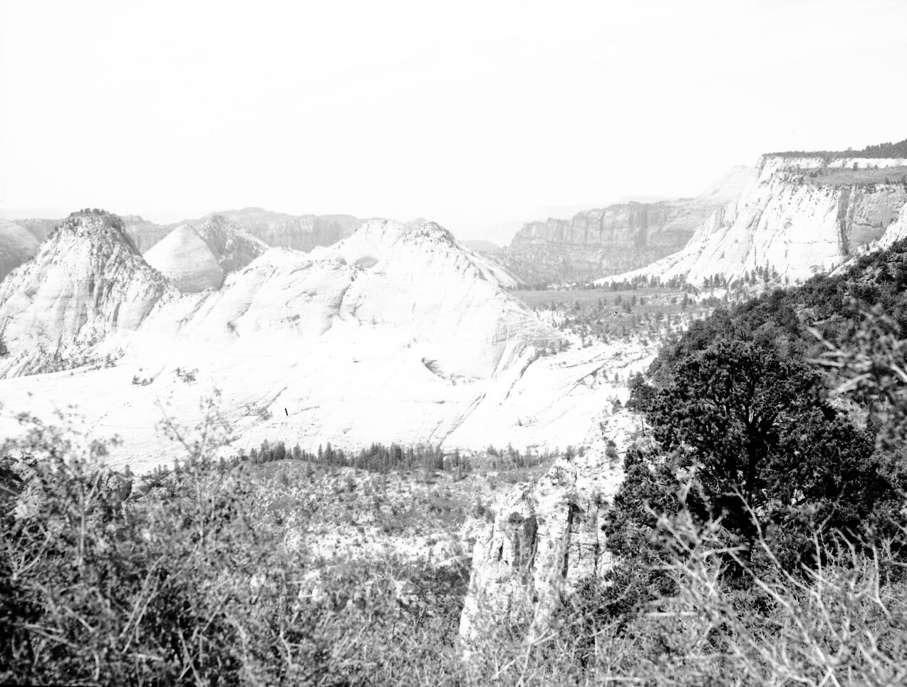 The Great West Canyon (also called Left Fork of North Creek) from West Rim trail.