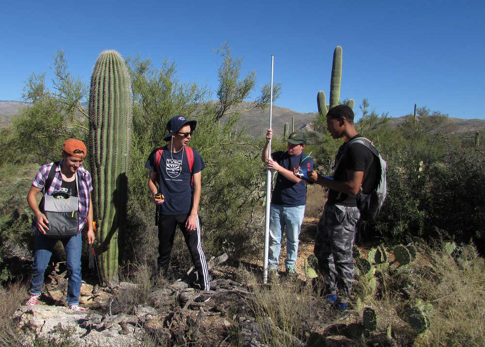 Empire students surveying saguaros