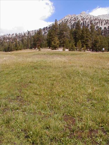 Sandy Meadow in Sept. 2003, Sequoia and Kings Canyon National Park