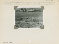 hfca_1607_iva_013_10_009_3267_a. Pronghorn, American.. Locality: Gardiner entrance, Yellowstone National Park. Negative #: 3267