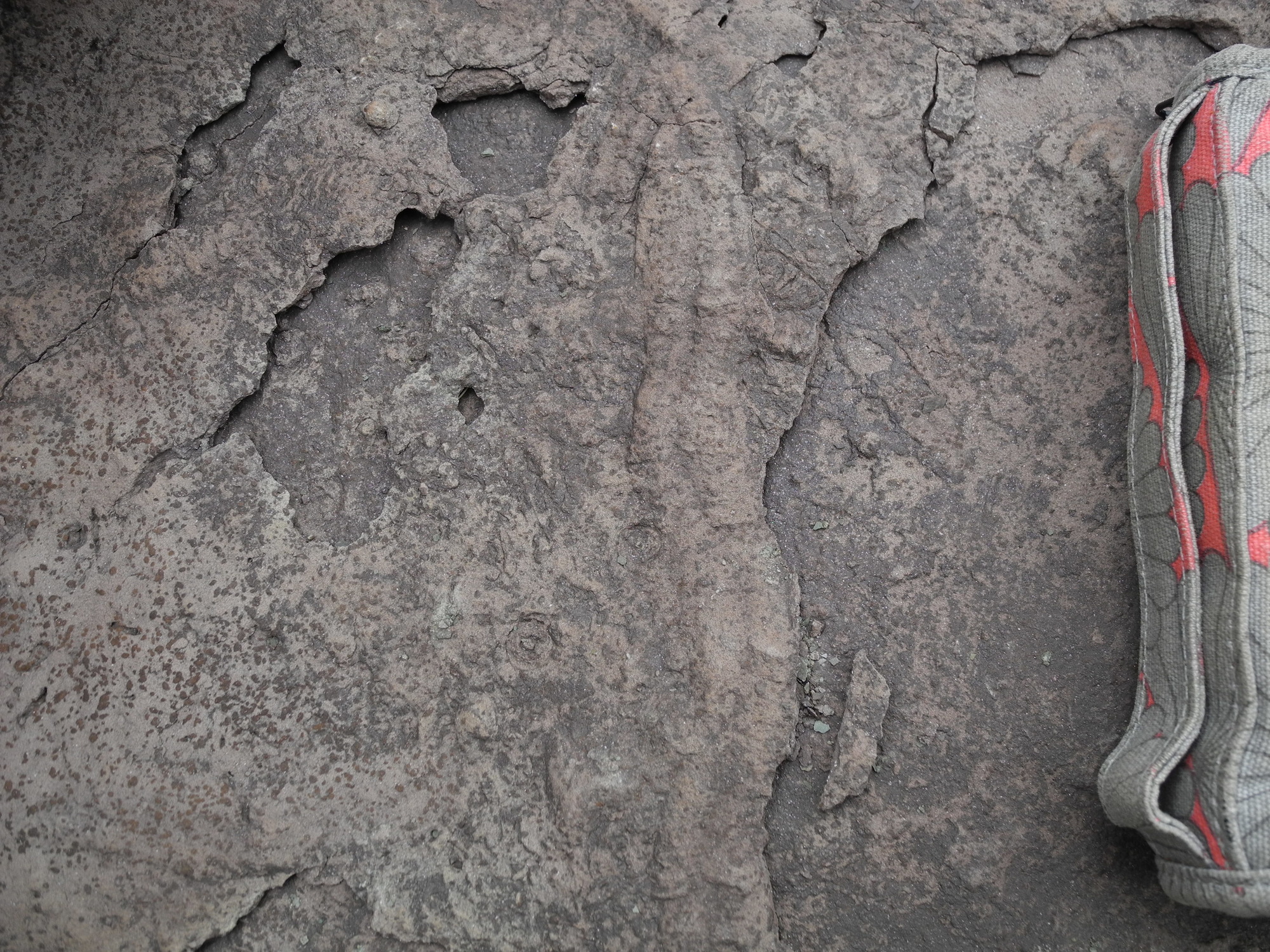 a long raised tube shape in rock. 